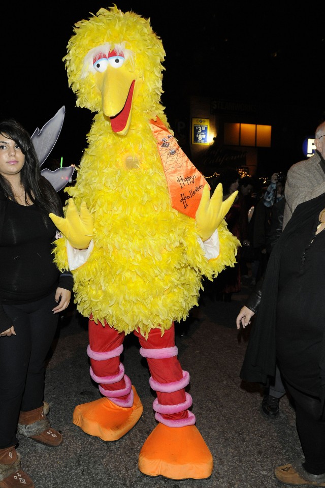 Big Bird Costumes For Adults 97