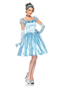 Adult Cinderella Costume