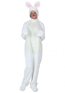 Adult Rabbit Costume