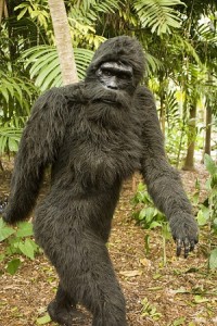 Bigfoot Costume Pattern