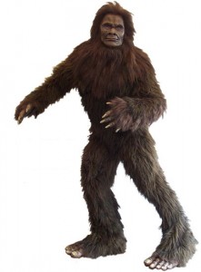 Bigfoot Costume Pictures