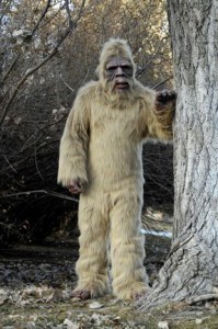 Bigfoot Costumes