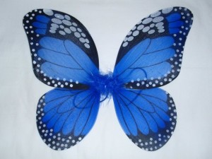 Butterfly Wing Costume