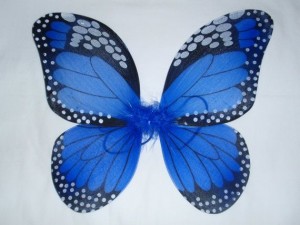 Butterfly Wing Costume