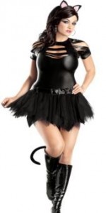 Catwoman Costume Plus Size