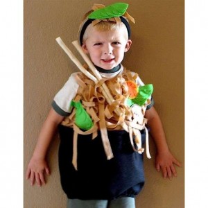 Chinese Food Costume