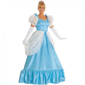 Cinderella Adult Costume