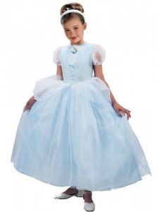 Cinderella Costume Girl