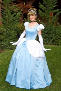 Cinderella Costume Ideas