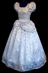 Cinderella Dress Costume