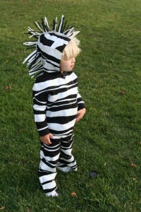 DIY Zebra Costume