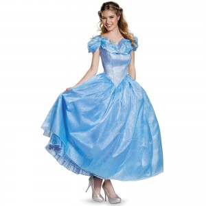 Disney Cinderella Costume