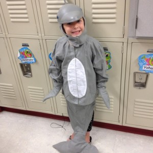 Dolphin Costume Ideas