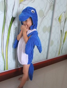 Dolphin Costume Pattern