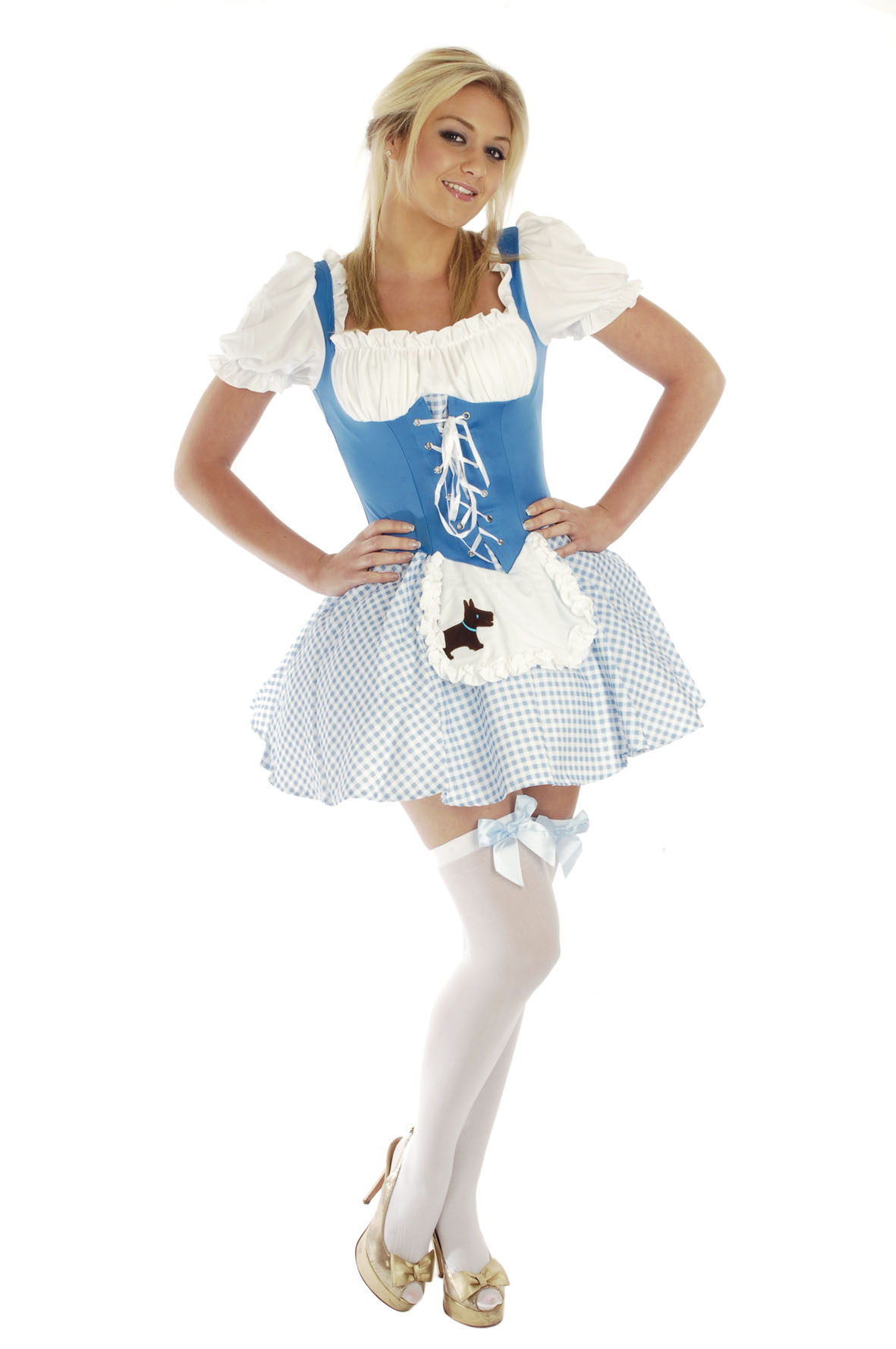 Dorothy Wzard of Oz Costume Ideas.