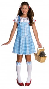 Dorothy from Wizard of Oz Costume