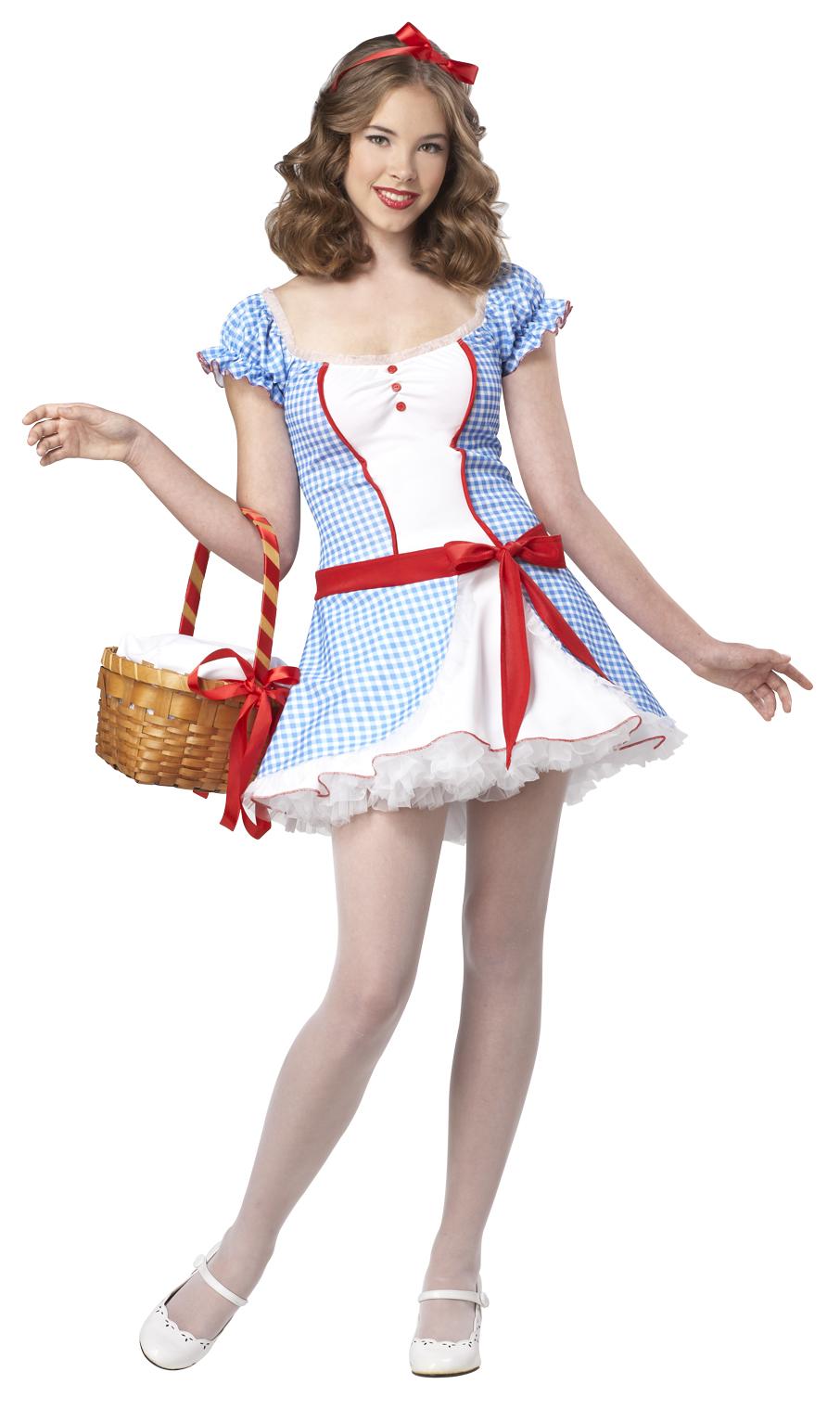 Dorothy the Wizard of Oz Costume.