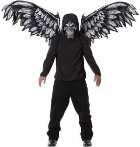 Fallen Angel Wings Costume