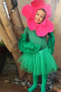Flower Girl Costume