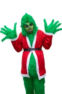 Grinch Adult Costume