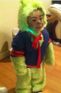 Grinch Costume Child