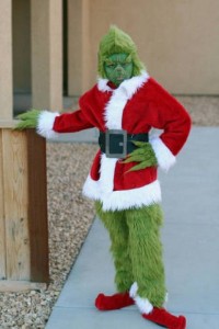 Grinch Costume for Adults