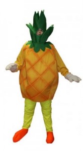 Pineapple Costume for Men