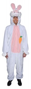 Rabbit Costumes for Adults