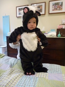 Skunk Costume for Baby