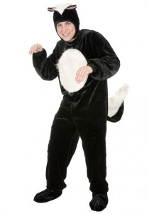 Skunk Costumes