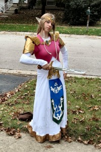 Zelda Princess Costume