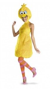 Big Bird Costume