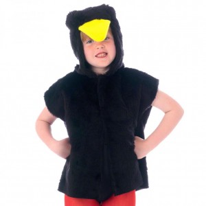 Black Bird Costume