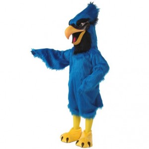 Blue Bird Costume