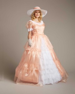 Adult Southern Belle Costume