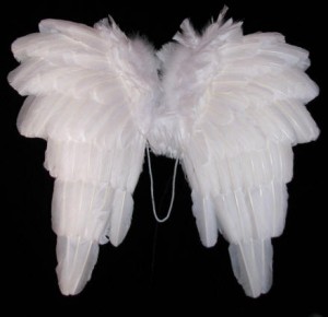 Angel Costume Wings