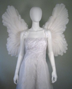 Angel Wing Costumes