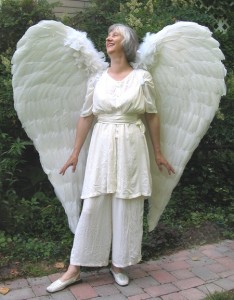 Angel Wings Costume