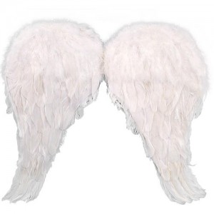 Angel Wings Costume Kids