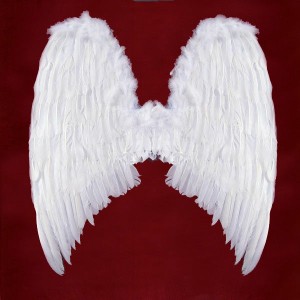 Angel Wings Costume for Men