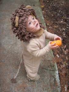 Baby Lion Costume Pattern