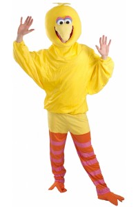 Big Bird Costume