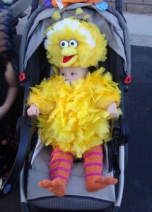 Big Bird Infant Costume