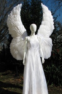 Feather Angel Wings Costume