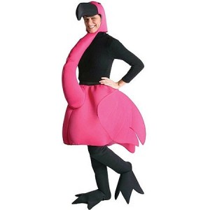 Flamingo Costume