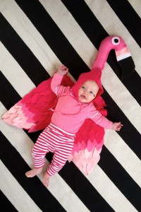 Infant Flamingo Costume