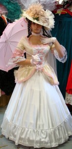Modern Southern Belle Costume