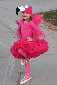 Pink Flamingo Costume