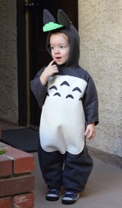 Totoro Costume for Kids