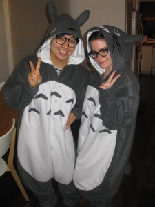 Totoro Costumes
